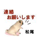 松尾さん用の名前スタンプ・子犬イラスト（個別スタンプ：11）