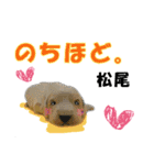 松尾さん用の名前スタンプ・子犬イラスト（個別スタンプ：12）