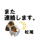 松尾さん用の名前スタンプ・子犬イラスト（個別スタンプ：16）