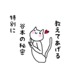 ◆谷本◆専用 白猫さんの名前スタンプ（個別スタンプ：14）
