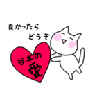 ◆谷本◆専用 白猫さんの名前スタンプ（個別スタンプ：17）