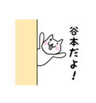 ◆谷本◆専用 白猫さんの名前スタンプ（個別スタンプ：22）