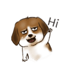 I'm Latte（個別スタンプ：1）