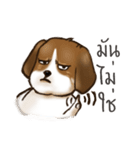 I'm Latte（個別スタンプ：4）
