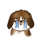 I'm Latte（個別スタンプ：7）