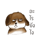 I'm Latte（個別スタンプ：15）