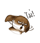 I'm Latte（個別スタンプ：16）