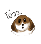 I'm Latte（個別スタンプ：17）