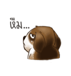 I'm Latte（個別スタンプ：21）