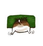 I'm Latte（個別スタンプ：23）