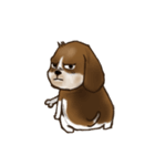 I'm Latte（個別スタンプ：24）