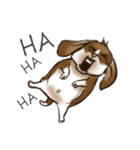 I'm Latte（個別スタンプ：31）