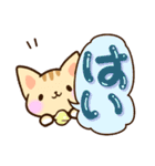 トラねこ（個別スタンプ：1）