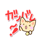 トラねこ（個別スタンプ：20）