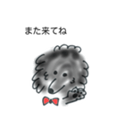 トイプードル黒（個別スタンプ：6）