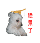 Terrisa.kikididi.lala（個別スタンプ：1）
