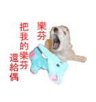Terrisa.kikididi.lala（個別スタンプ：5）