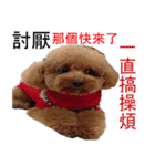 Terrisa.kikididi.lala（個別スタンプ：7）