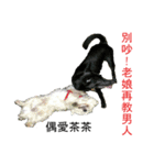 Terrisa.kikididi.lala（個別スタンプ：13）