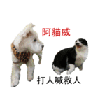 Terrisa.kikididi.lala（個別スタンプ：16）
