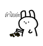 It is a Rabbit not a Cat（個別スタンプ：24）