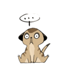 Cute Meerkats（個別スタンプ：1）