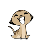Cute Meerkats（個別スタンプ：2）