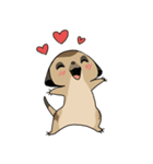 Cute Meerkats（個別スタンプ：3）