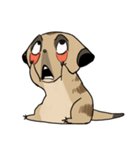 Cute Meerkats（個別スタンプ：4）