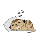 Cute Meerkats（個別スタンプ：5）