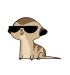 Cute Meerkats（個別スタンプ：7）