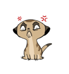 Cute Meerkats（個別スタンプ：8）