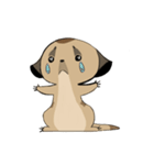 Cute Meerkats（個別スタンプ：9）