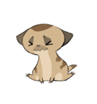Cute Meerkats（個別スタンプ：10）