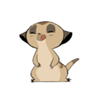 Cute Meerkats（個別スタンプ：11）