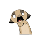 Cute Meerkats（個別スタンプ：15）