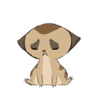 Cute Meerkats（個別スタンプ：16）