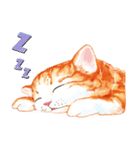 ニャーニャー呼んだら（個別スタンプ：36）