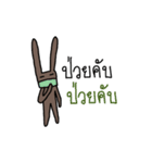 Rabbit Brown（個別スタンプ：13）