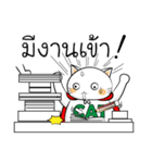 THE CAT！（個別スタンプ：20）