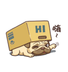 Frowned（個別スタンプ：21）