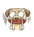 Frowned（個別スタンプ：29）