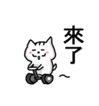 chao hu cat part4（個別スタンプ：6）