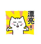 chao hu cat part4（個別スタンプ：18）