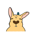All my life is kangaroo！（個別スタンプ：1）