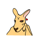 All my life is kangaroo！（個別スタンプ：2）