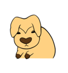 All my life is kangaroo！（個別スタンプ：3）