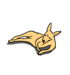 All my life is kangaroo！（個別スタンプ：4）