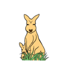 All my life is kangaroo！（個別スタンプ：5）