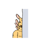 All my life is kangaroo！（個別スタンプ：7）
